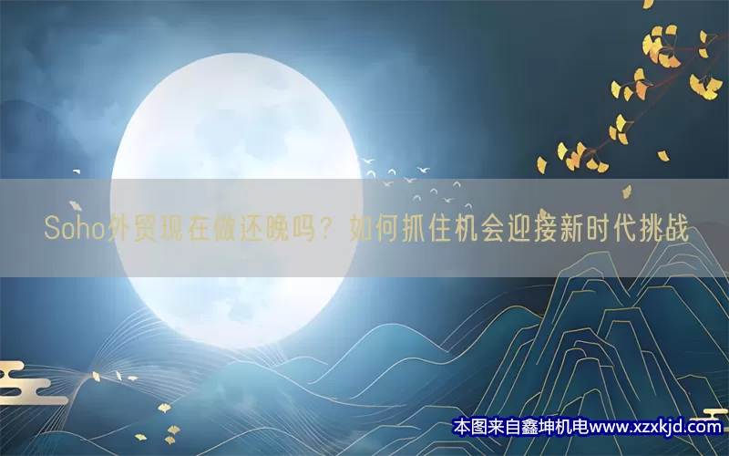 Soho外贸现在做还晚吗？如何抓住机会迎接新时代挑战(pic1)