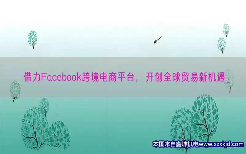 借力Facebook跨境电商平台，开创全球贸易新机遇(pic1)