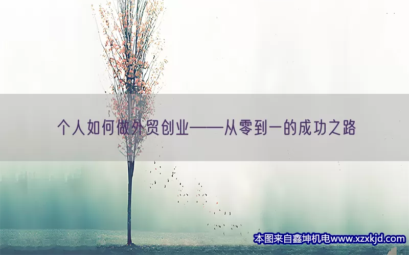 个人如何做外贸创业——从零到一的成功之路(pic1)