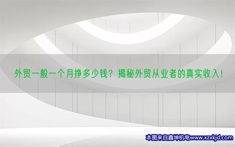 外贸一般一个月挣多少钱？揭秘外贸从业者的真实收入！(pic1)