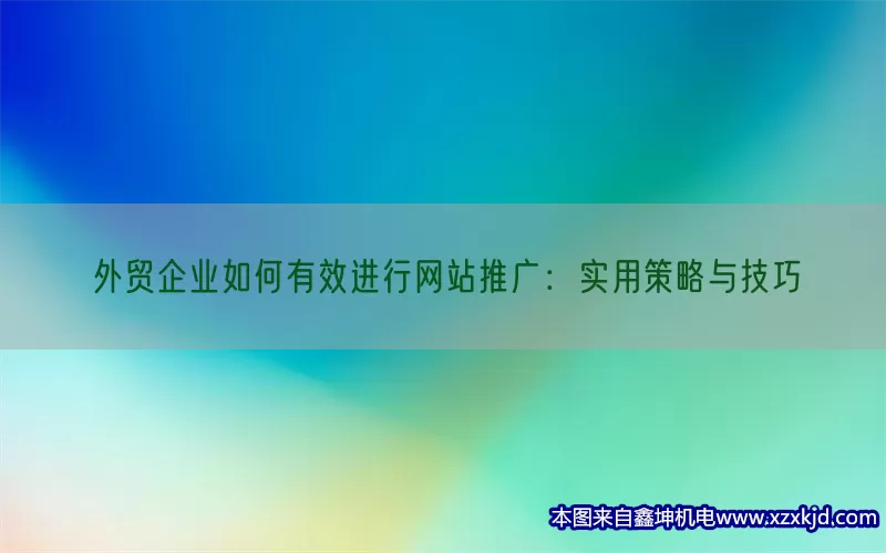 外贸企业如何有效进行网站推广：实用策略与技巧(pic1)