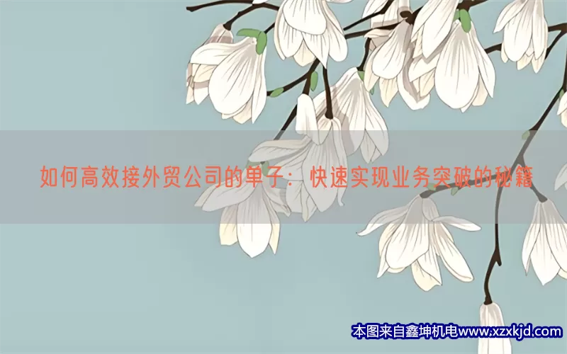 如何高效接外贸公司的单子：快速实现业务突破的秘籍(pic1)