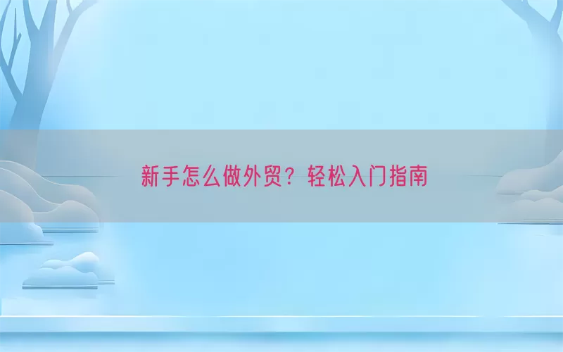 新手怎么做外贸？轻松入门指南