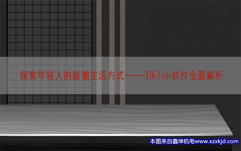 探索年轻人的新潮生活方式——TikTok软件全面解析(pic1)