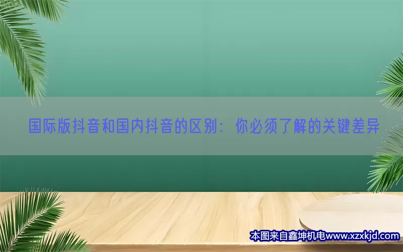 国际版抖音和国内抖音的区别：你必须了解的关键差异(pic1)