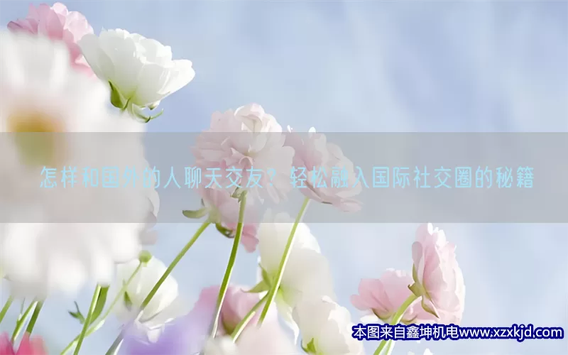 怎样和国外的人聊天交友？轻松融入国际社交圈的秘籍(pic1)
