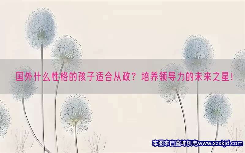 国外什么性格的孩子适合从政？培养领导力的未来之星！(pic1)