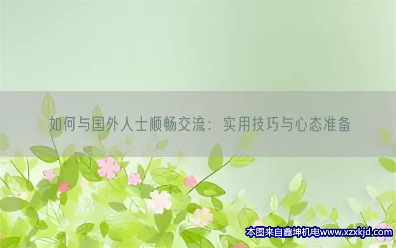 如何与国外人士顺畅交流：实用技巧与心态准备(pic1)