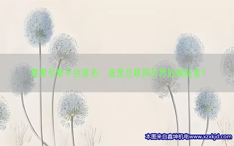 搜索引擎平台排名：谁是互联网世界的领航者？(pic1)