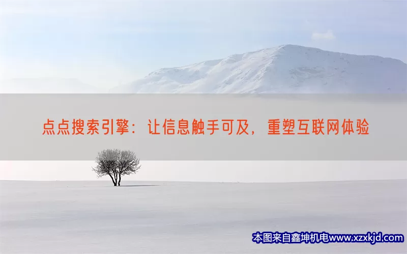 点点搜索引擎：让信息触手可及，重塑互联网体验(pic1)