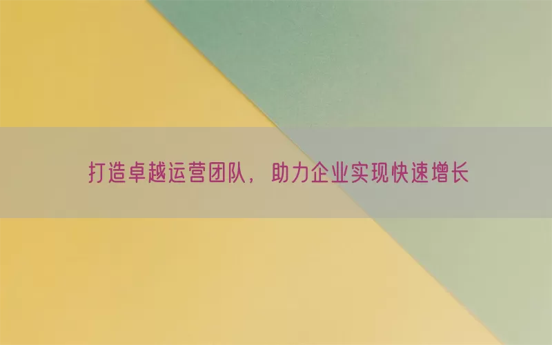 打造卓越运营团队，助力企业实现快速增长