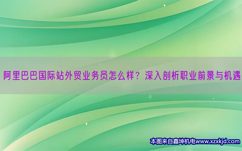 阿里巴巴国际站外贸业务员怎么样？深入剖析职业前景与机遇(pic1)