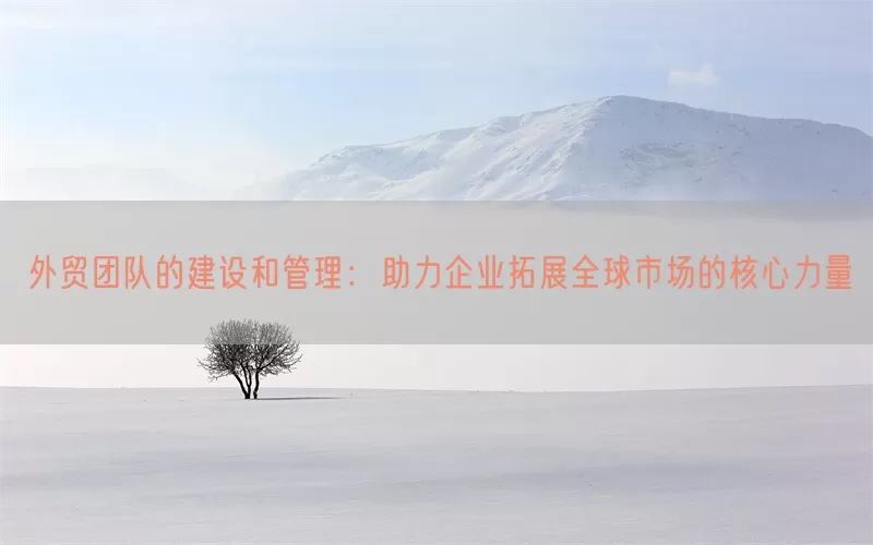 外贸团队的建设和管理：助力企业拓展全球市场的核心力量