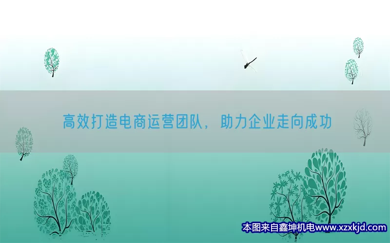 高效打造电商运营团队，助力企业走向成功(pic1)