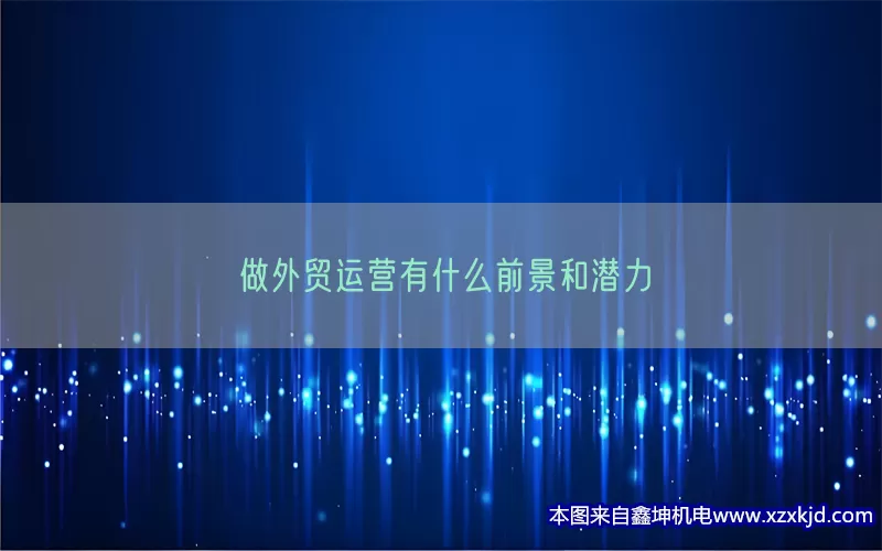 做外贸运营有什么前景和潜力(pic1)