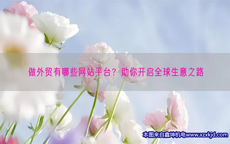 做外贸有哪些网站平台？助你开启全球生意之路(pic1)