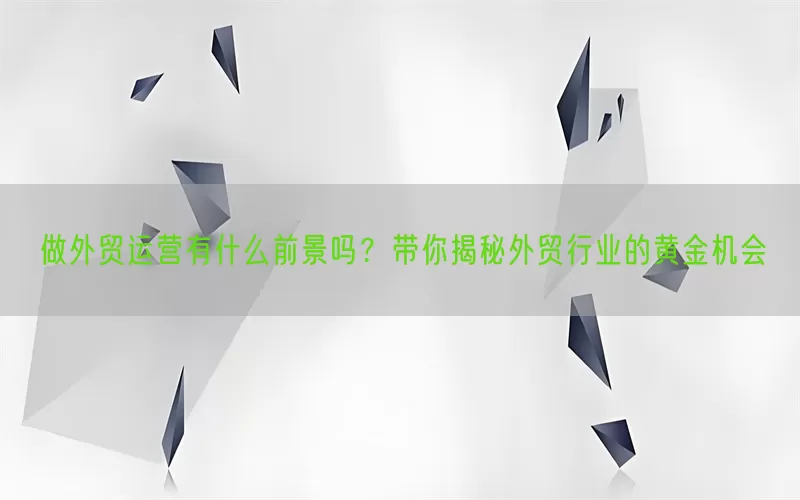 做外贸运营有什么前景吗？带你揭秘外贸行业的黄金机会