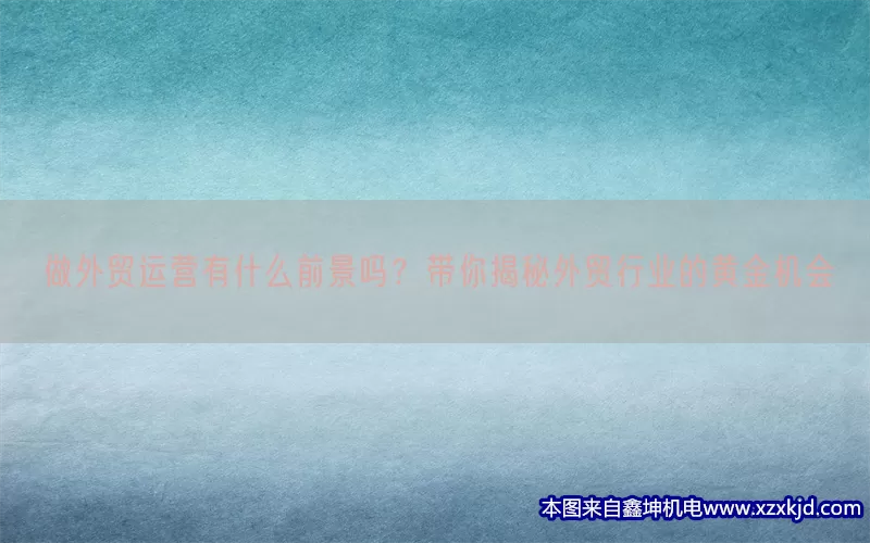 做外贸运营有什么前景吗？带你揭秘外贸行业的黄金机会(pic1)