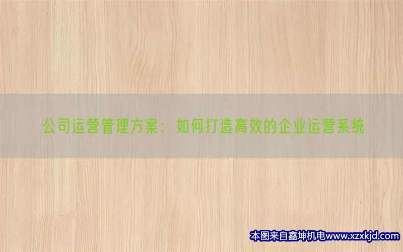 公司运营管理方案：如何打造高效的企业运营系统(pic1)
