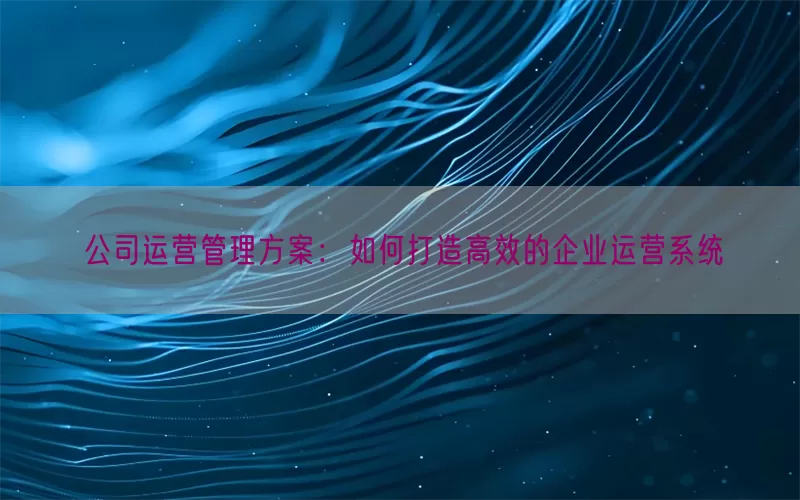 公司运营管理方案：如何打造高效的企业运营系统