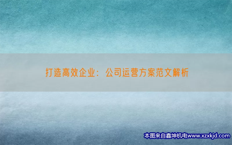 打造高效企业：公司运营方案范文解析(pic1)