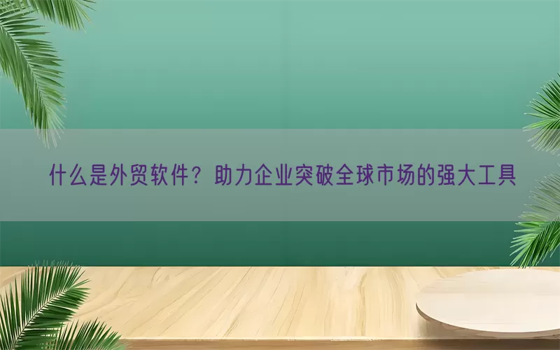 什么是外贸软件？助力企业突破全球市场的强大工具