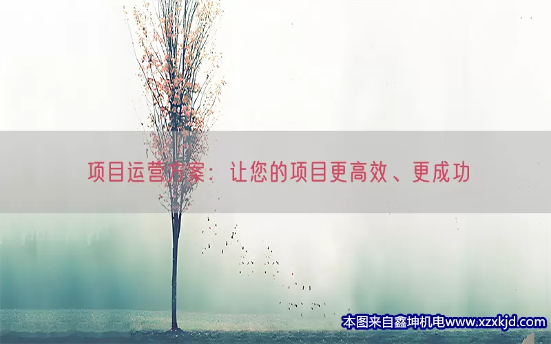 项目运营方案：让您的项目更高效、更成功(pic1)
