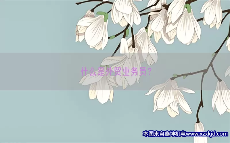 什么是外贸业务员？(pic1)