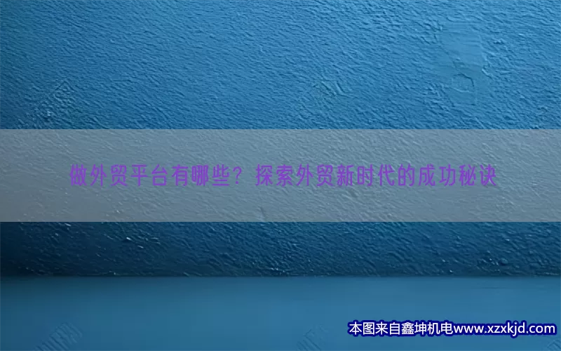 做外贸平台有哪些？探索外贸新时代的成功秘诀(pic1)
