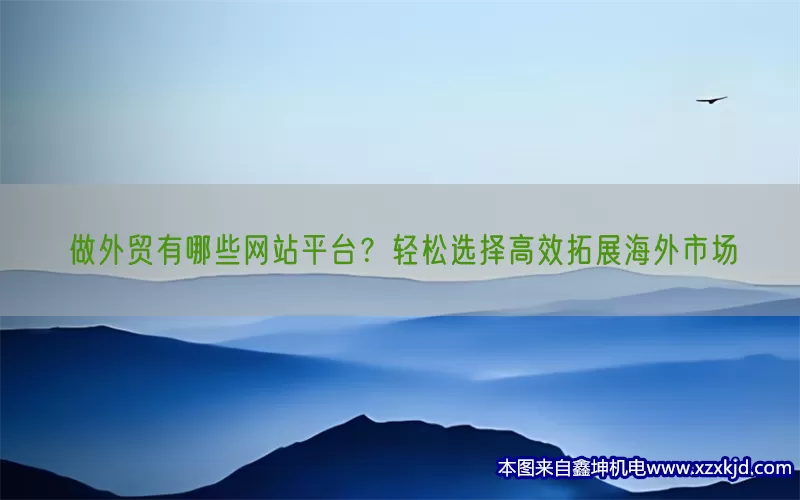 做外贸有哪些网站平台？轻松选择高效拓展海外市场(pic1)