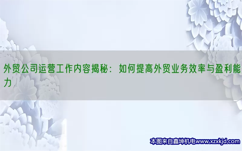 外贸公司运营工作内容揭秘：如何提高外贸业务效率与盈利能力(pic1)