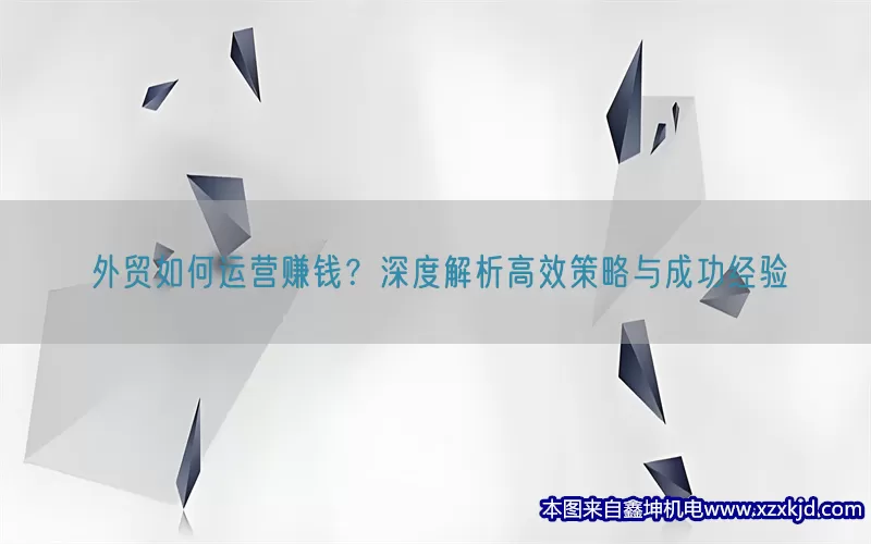 外贸如何运营赚钱？深度解析高效策略与成功经验(pic1)