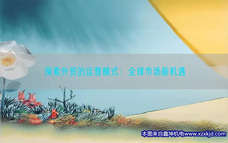 探索外贸的运营模式：全球市场新机遇(pic1)