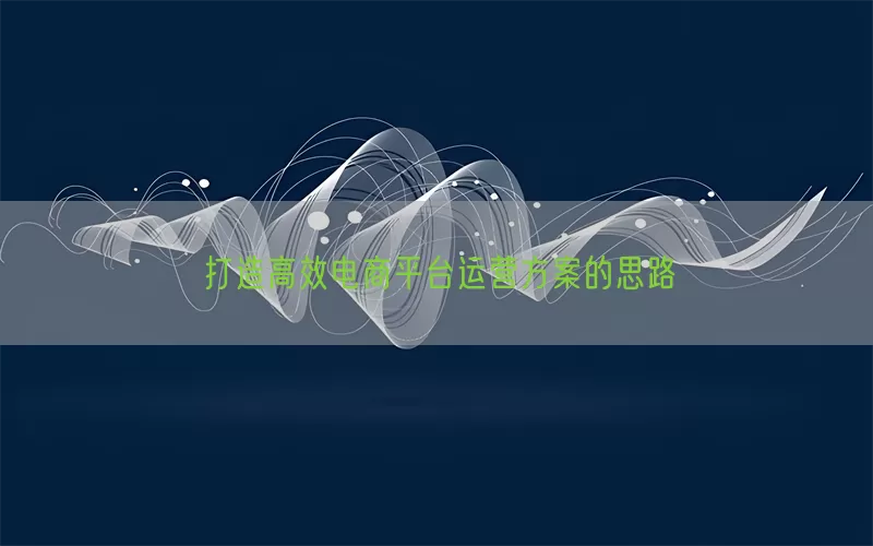 打造高效电商平台运营方案的思路