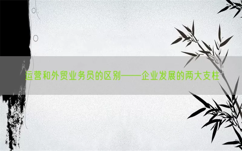运营和外贸业务员的区别——企业发展的两大支柱