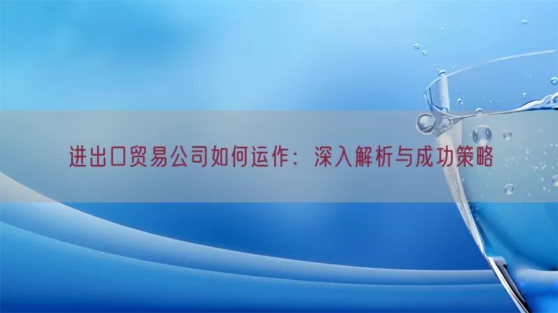 进出口贸易公司如何运作：深入解析与成功策略