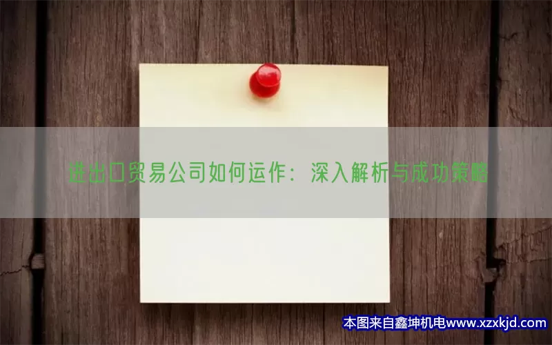 进出口贸易公司如何运作：深入解析与成功策略(pic1)