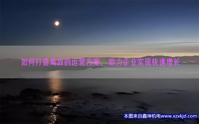 如何打造高效的运营方案，助力企业实现快速增长(pic1)