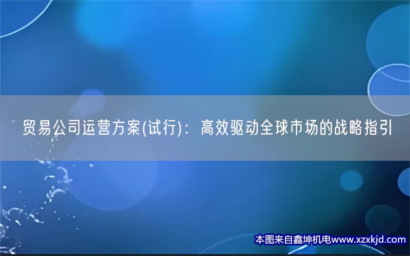 贸易公司运营方案(试行)：高效驱动全球市场的战略指引(pic1)