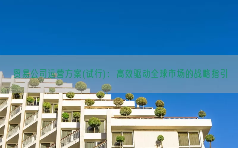 贸易公司运营方案(试行)：高效驱动全球市场的战略指引