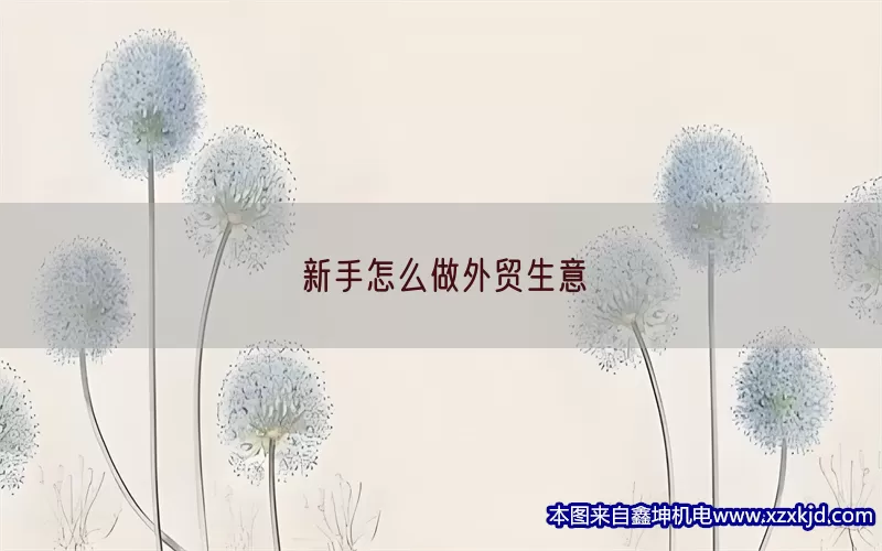 新手怎么做外贸生意(pic1)