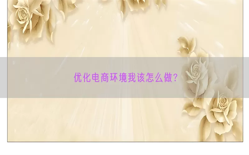 优化电商环境我该怎么做？