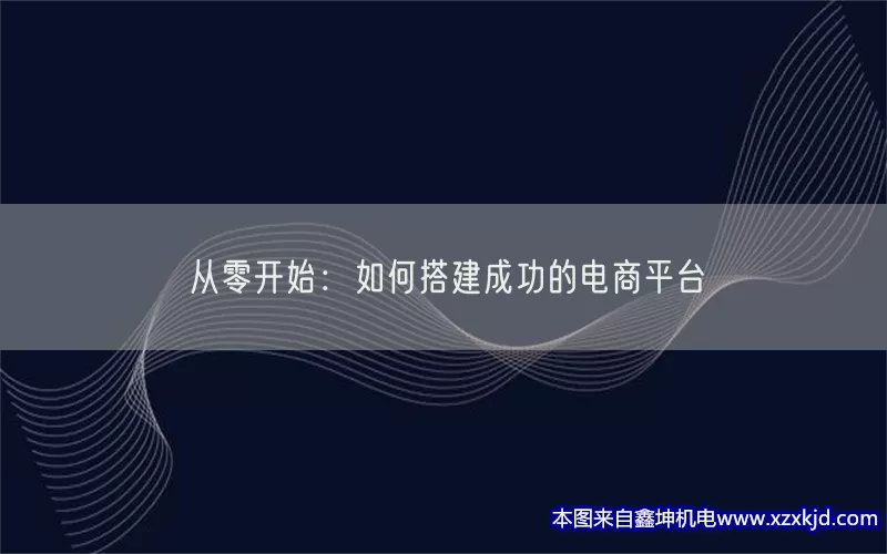 从零开始：如何搭建成功的电商平台(pic1)