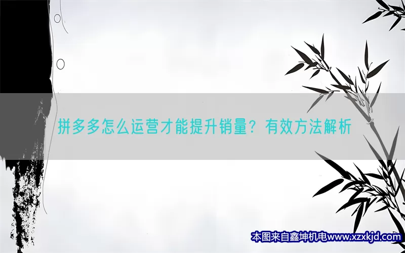 拼多多怎么运营才能提升销量？有效方法解析(pic1)