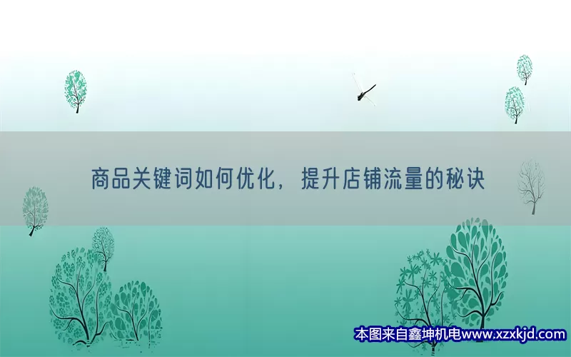 商品关键词如何优化，提升店铺流量的秘诀(pic1)