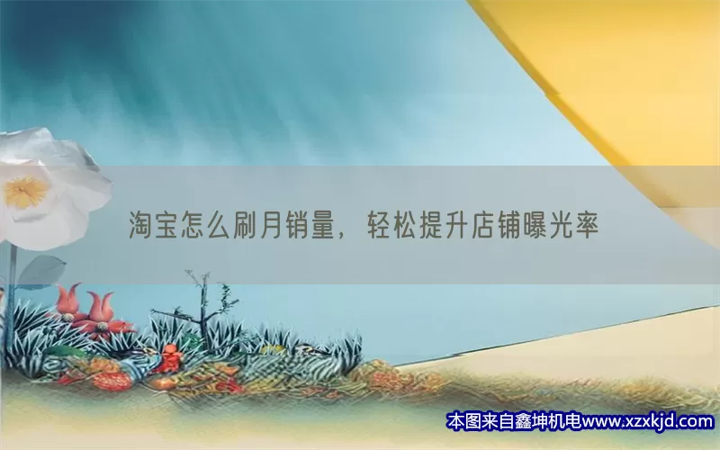 淘宝怎么刷月销量，轻松提升店铺曝光率(pic1)