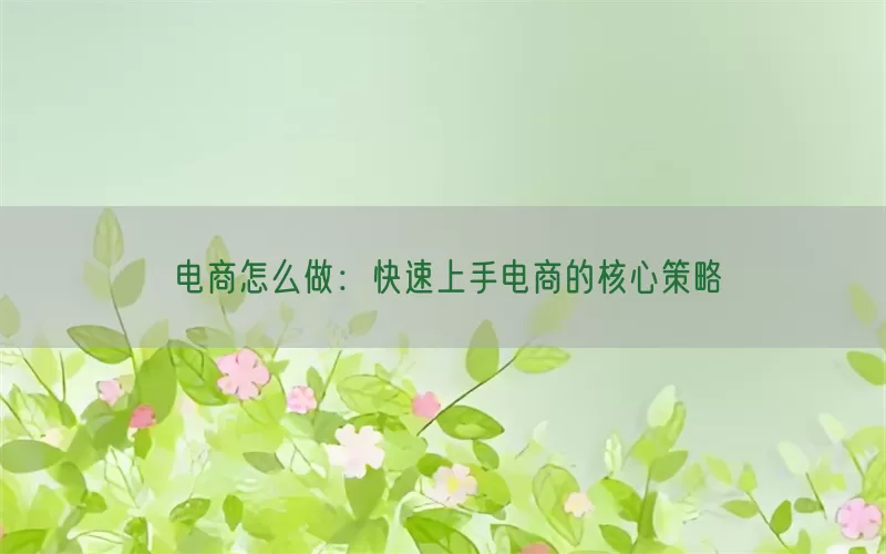 电商怎么做：快速上手电商的核心策略