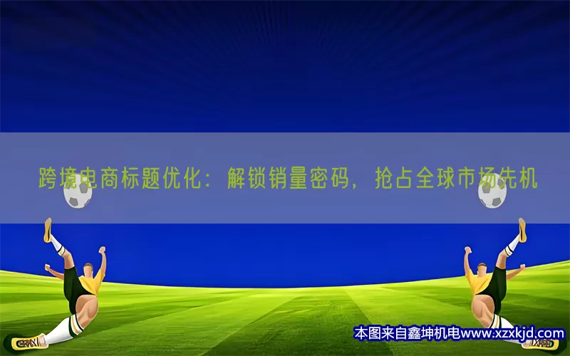 跨境电商标题优化：解锁销量密码，抢占全球市场先机(pic1)