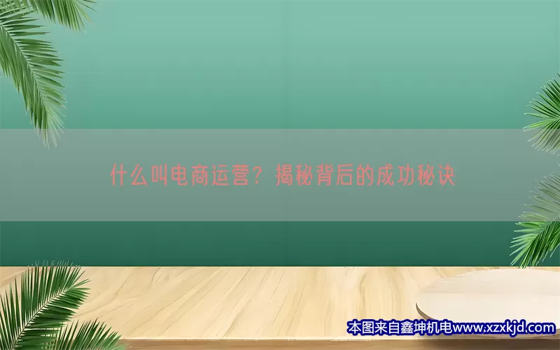 什么叫电商运营？揭秘背后的成功秘诀(pic1)