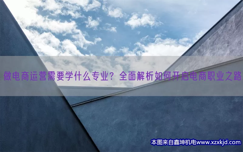 做电商运营需要学什么专业？全面解析如何开启电商职业之路(pic1)